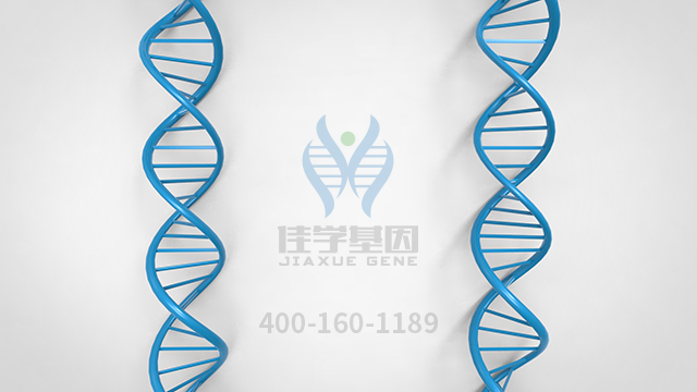 藥物<a href=http://www.alivewithwords.com/tk/jiema/cexujishu/2021/31933.html>基因檢測(cè)</a>